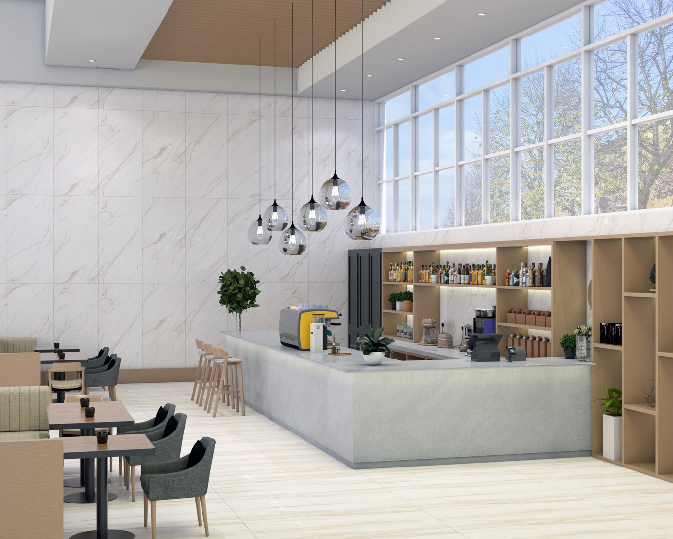 ALASKA NEVE - Project Reference 1