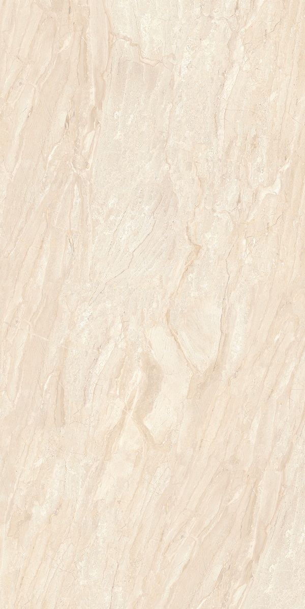 DAINO ROYALE MATTE 240X120